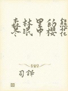 森林里的熊先生冬眠中樱花动漫