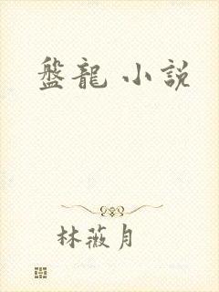 盘龙 小说