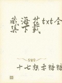 藏海花txt全集下载