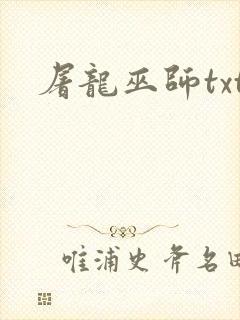 屠龙巫师txt