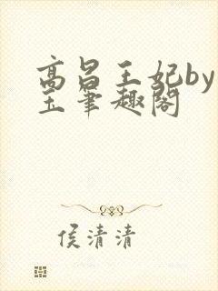 高昌王妃by黛玉笔趣阁