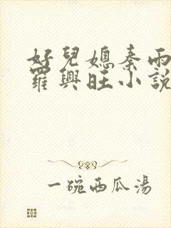 好儿媳秦雨罗明罗兴旺小说