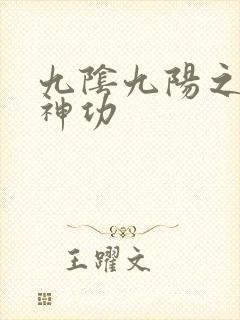 九阴九阳之阴阳神功