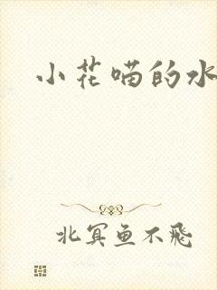 小花喵的水蜜桃