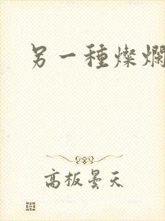 另一种灿烂生活