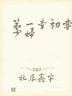 第一章初尝极品少妇