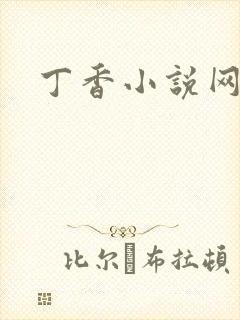 丁香小说网
