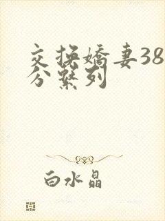 交换娇妻38部分系列