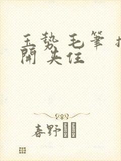 玉势 毛笔 撑开 夹住