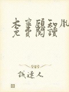 木宁顾知胤小说免费阅读