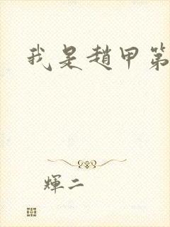 我是赵甲第小说