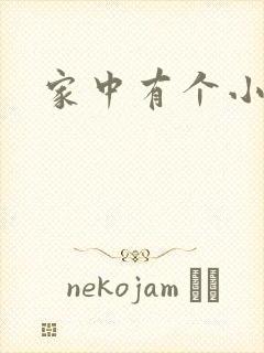 家中有个小姨子