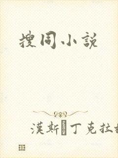 搜同小说