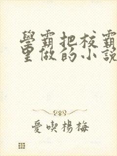 学霸把校霸往死里做的小说