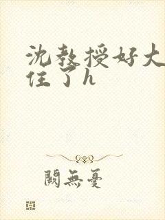 沈教授好大含不住了h