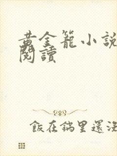 黄金笼小说免费阅读