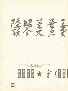 陆昭菱晋王的小说全文免费阅读