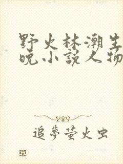 野火林潮生林晚晚小说人物野火