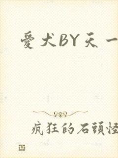 爱犬BY天一