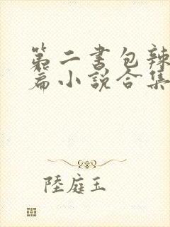 第二书包辣网短篇小说合集