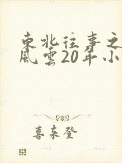 东北往事之黑道风云20年小说