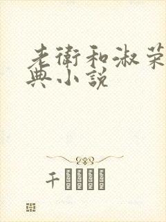 老卫和淑荣的经典小说