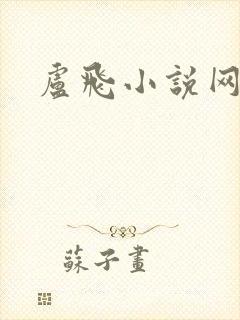 卢飞小说网