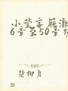 小莹客厅激情46章至50章视