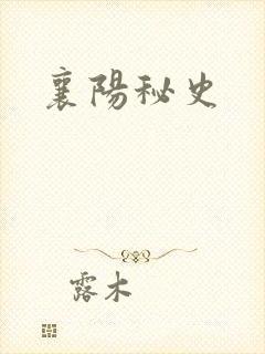 襄阳秘史