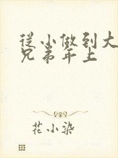 从小做到大骨科兄弟年上