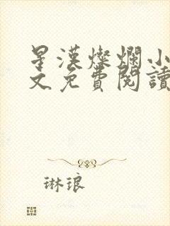 星汉灿烂小说全文免费阅读