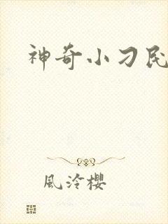 神奇小刁民