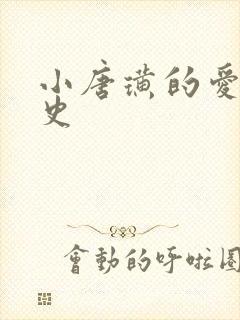 小唐璜的爱情历史