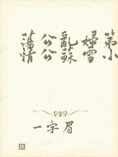 荡公乱妇第1章情公苏雪小说