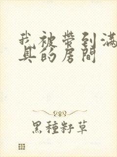 我被带到满是玩具的房间