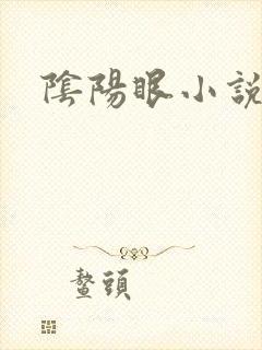 阴阳眼小说