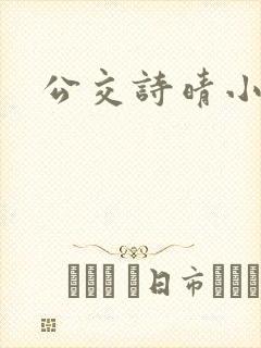 公交诗晴小说