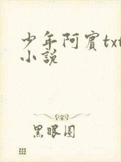 少年阿宾txt小说