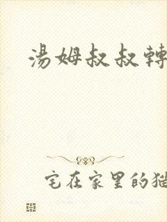 汤姆叔叔转接口