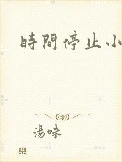 时间停止小说
