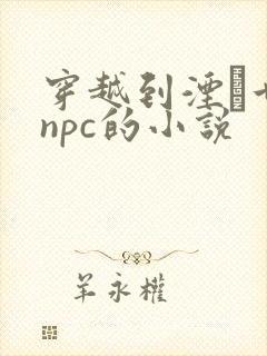 穿越到湮婸世界npc的小说