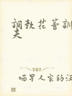 调教花蒂训诫从夫