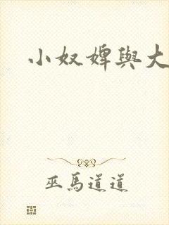 小奴婢与大少爷