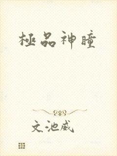 极品神瞳