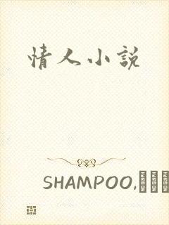 情人小说