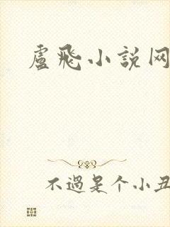 卢飞小说网