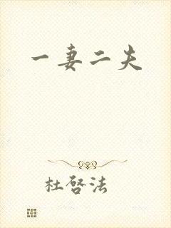 一妻二夫