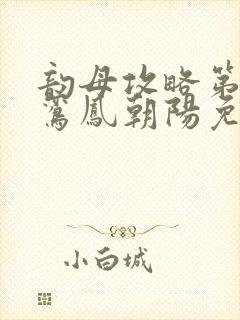 韵母攻略第二部鸾凤朝阳免费阅读