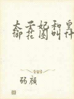 太子妃和皇帝在御花园叫什么小说