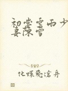 初尝云雨少妇人妻陈雪